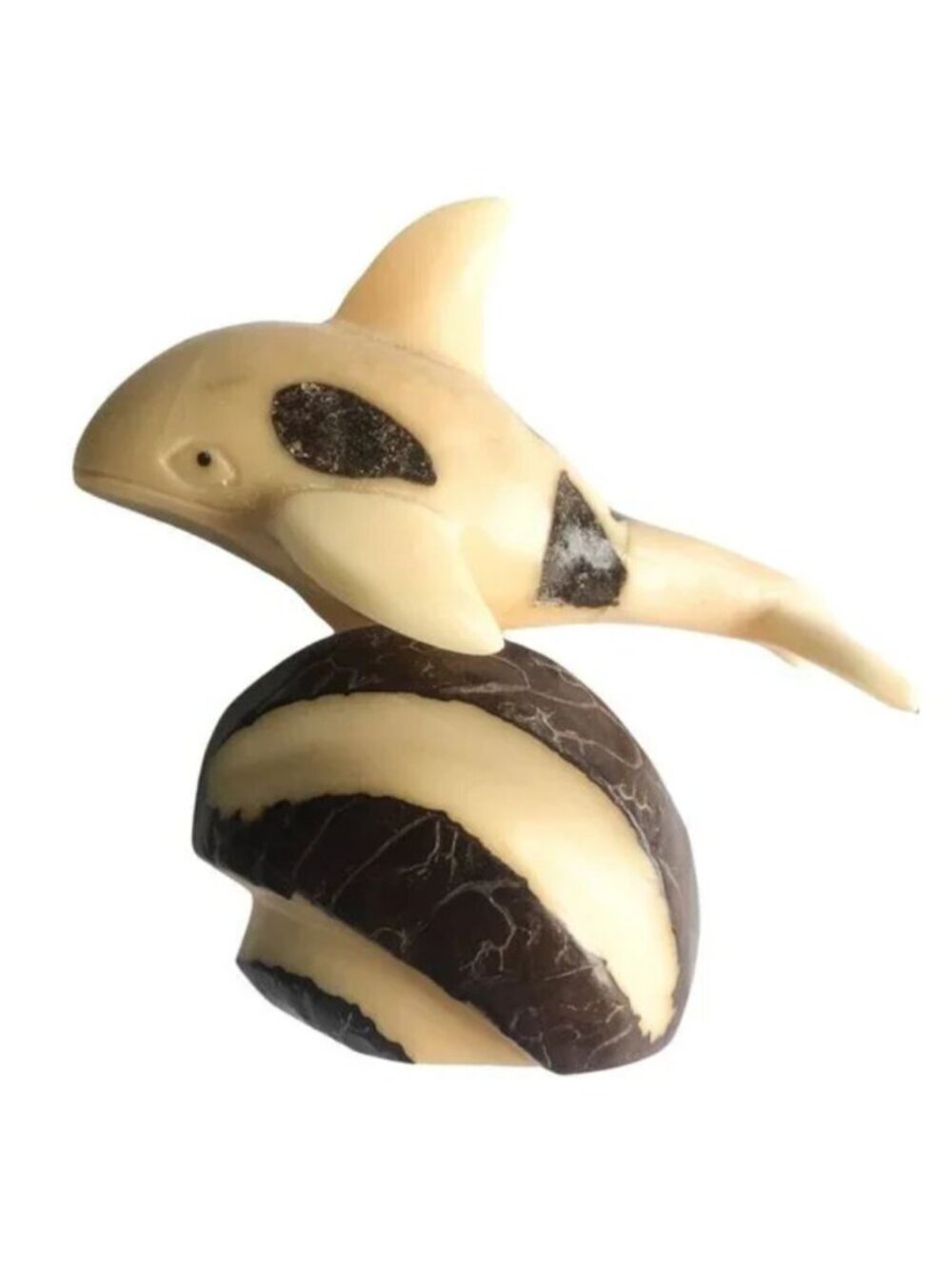 Rare Tagua Nut/Vegetable Ivory Killer Whale‎ Orca